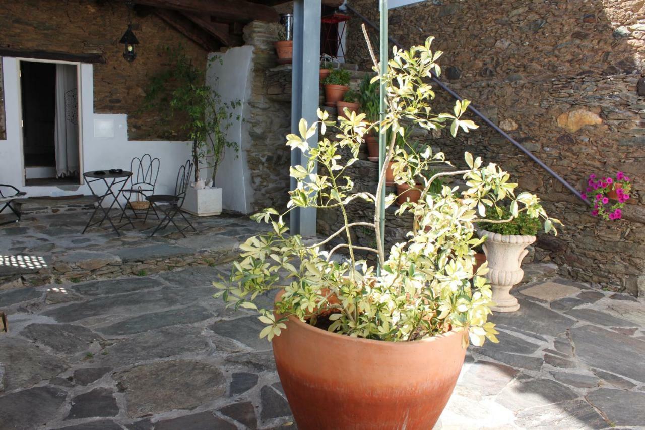 Agroturismo Casal De Castro Avantos エクステリア 写真